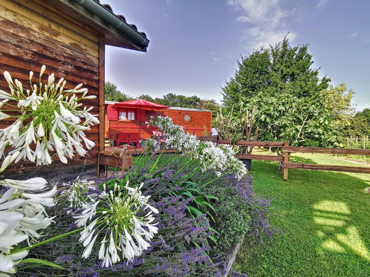 Gasthaus La Roulotte Du Cagire - 4 Pers - Pyrenees Villeneuve-de-Rivière Exterior foto